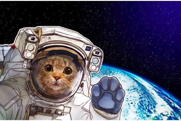 6 идей для подарка на День космонавтики