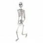 Скелет человека подвижный декоративный H170см