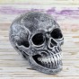 Череп скарбничка М 8943 (сірий)
