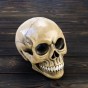 Череп светильник настольный M 8946 (серый)