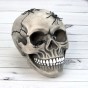 Череп копилка с пауками М 10603 (серый)