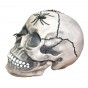 Череп копилка с пауками М 10603 (серый)