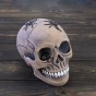 Череп копилка с пауками М 10603 (серый)