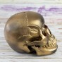Череп копилка M 13293 (золото антик)