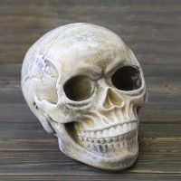 Череп копилка M 13779 (бежевый)