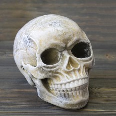 Череп копилка M 13779 (бежевый)