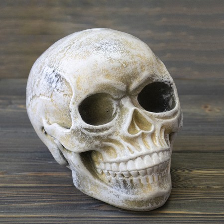 Череп копилка M 13779 (бежевый)