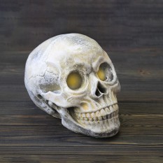 Череп светильник настольный S 13781 (бежевый)