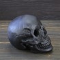 Череп светильник настольный S 13782 (черные)