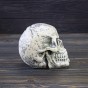 Череп копилка маленький 13784 (бежевый)