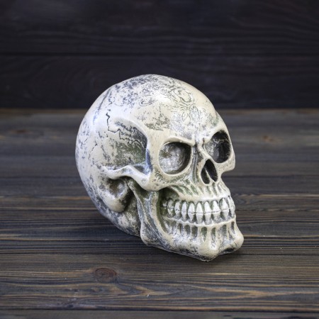 Череп копилка маленький 13784 (бежевый)
