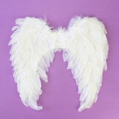 Крила Амура середні 45х45см (білі)