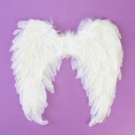 Крила Амура середні 45х45см (білі)