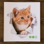 Интерьерная наклейка CD Кот Рыжий XH2006 23х25см