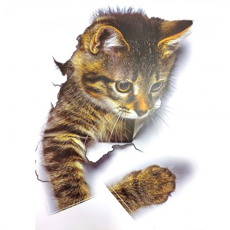 Інтер'єрна наклейка CD Котик XH2003 25х16,5см