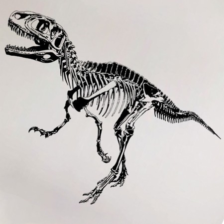 Інтер'єрна наклейка ZOO Скелет Динозавра SK7039 70х50см