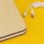 Светильник Книга 3Д (светлое дерево)