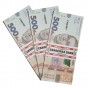 Сувенирные деньги 500 гривен
