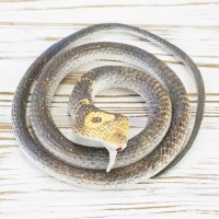 Резиновая змея 75см KP (светло-коричневая)