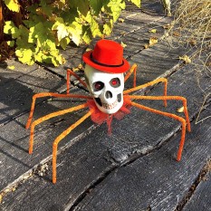 Скелеты, пауки, мыши, рептилии