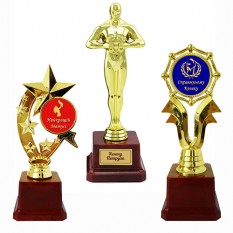 Подарочные и наградные кубки, статуэтки Номинация, Хобби